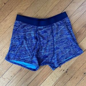 Patagonia boxer briefs (M)